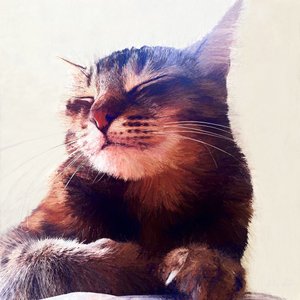 Kissa, joka sai kerman, 2018 tekijältä Helen White