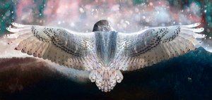 Uskalla lentää, 2019 tekijältä Helen White