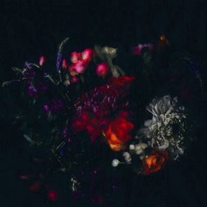 Tumma kukka, 2019 tekijältä Helen White