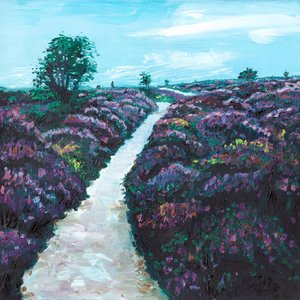 Heathland Heather, 2009 tekijältä Helen White