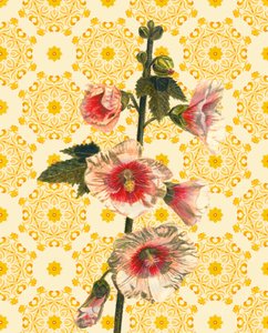 Hollyhocks on Sunshine, 2021 (akvarelli) tekijältä Helen White