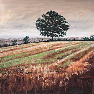Myöhäinen iltapäiväkenttä, 2009 tekijältä Helen White