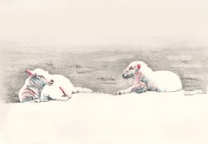 Nukkuminen, 2016, (lyijykynäpiirros) tekijältä Helen White