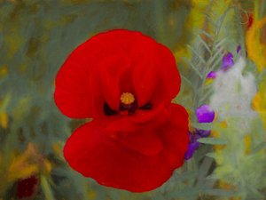Scarlet, 2019 tekijältä Helen White