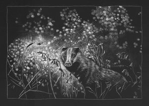 Spring Badger, 2023 finlandês tekijältä Helen White