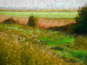 Kesäniitty, 2019 tekijältä Helen White