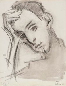 Serkku tekijältä Helene Schjerfbeck