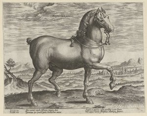 Ori Saksasta Eqvvs Germanvs (otsikko objektissa) Hevosrodut Itävallan Don Juanin kuninkaallisilta tallilta (sarjan nimi) Equile Ioannis Austriaci Caroli (sarjan nimi) tekijältä Hendrick Goltzius (possibly)