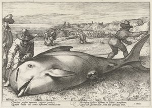 Pulaan jäänyt pilottivalas rannalla Zandvoortissa, 1594 tekijältä Hendrick Goltzius (workshop of)