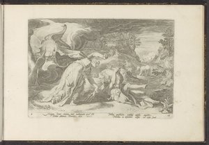 Juno muuttaa Calliston karhuksi Ovid