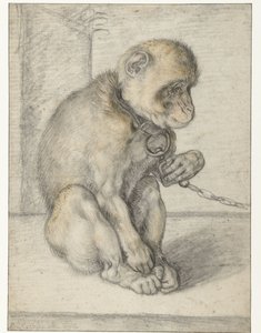 Un mico assegut en una cadena Monkey on a Chain, assegut finlandès tekijältä Hendrick Goltzius