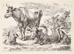 Out-suvun jäsenen muotokuva. Cornelis Out (?) tekijältä Hendrick Goltzius