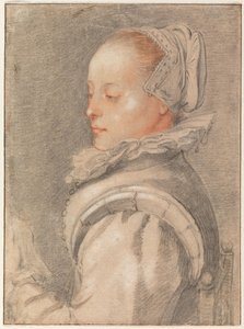 Nuoren naisen muotokuva tekijältä Hendrick Goltzius