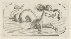 Naishahmo puhaltaa kuoreen Nouveau Livre des Dieux et Deeßes De la Marine Bouckje of Sea Gods and Goddess (sarjan nimi)