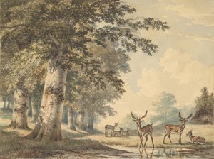 Hirvi pyökkipuiden alla talvella, 1853.