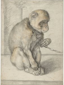 Istuva apina ketjussa. 1592-1602 tekijältä Hendrik Goltzius
