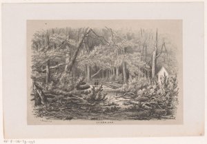 Puut kaatuivat Jacobalassa myrskyn jälkeen 28.5.1860 Jacobalaan (otsikko esineessä) Albumi kymmenestä litografoidusta luonnoksesta, jotka kuvaavat Tooneelen of the Destruction, 28. toukokuuta 1860 myrskyn kiihottamana Gravenhaagsche Boschissa, tekijältä Hendrik Wilhelmus Last