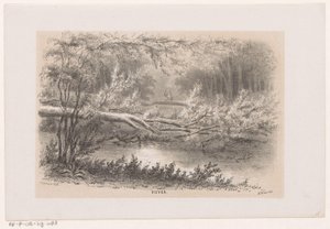 Puu kaatui 28. toukokuuta 1860 myrskyn jälkeen Lampi (otsikko esineessä) Albumi kymmenestä litografoidusta luonnoksesta, jotka kuvaavat Tooneelen of the Destruction, 28. toukokuuta 1860 myrskyn kiihottamana Gravenhaagsche Boschissa Scheveningenissä jne. (