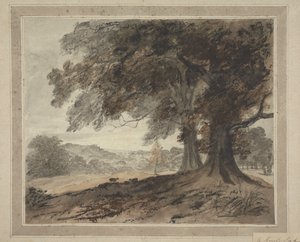 Knole Parkissa