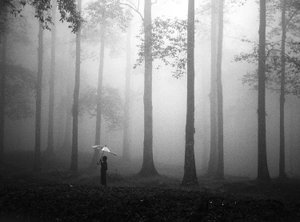 Misty Woods -sateenvarjo tekijältä Hengki Lee