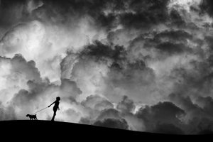 Stormy Sky -koirakävely tekijältä Hengki Lee