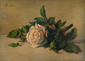 Valkoinen ruusu, c1863, 1938 tekijältä Ignace Henri Jean Fantin Latour