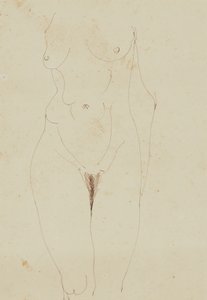 Naisten alaston torso (kynä ja muste paperille)