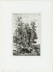 Koivut ja tammet tekijältä Henri Joseph Harpignies