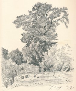 Study of Trees, c1839-1898, 1898 tekijältä Henri Joseph Harpignies