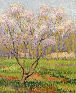Apple Tree in Blossom; Omenankukkia, tekijältä Henri Martin