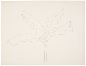 Banaanipuu (Tahiti) tekijältä Henri Matisse