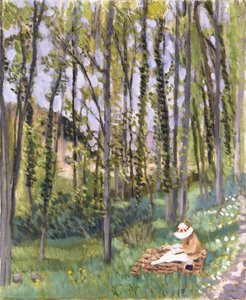 Aluskasvillisuus tekijältä Henri Matisse