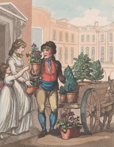 Cries of London, nro 6: Kaikki kasvaa, tässä Flowers, 1. maaliskuuta 1799.