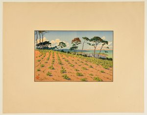 [Douarnenez nähtynä Ris-tieltä] tekijältä Henri Rivière