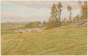 Clèresin ympäristö tekijältä Henri Rivière
