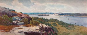 "Sydney From Vaucluse", vuodelta 1906 tekijältä Henri Tebbitt