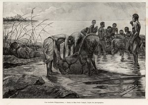 Virtahepo lihakauppa Keski-Afrikan joen rannalla. Henri Thiriatin kaiverrus havainnollistamaan Albert Neboutin (1862-1939) tarinaa "La mission Crampel", vuonna 1890 Le tour du Mondessa 1892, ohjaajana Edouard Charton (1807-1891), Hachette, Pa. tekijältä Henri Thiriat