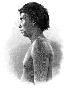 Guatsu Indian, Keski-Amerikka, 1890
