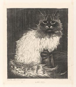 Bonte Angora (alkuperäinen nimi esineessä)