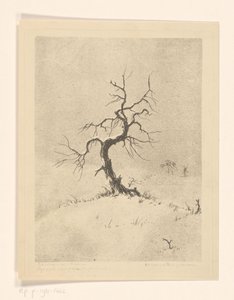 Lonely Tree (alkuperäinen nimi esineessä)