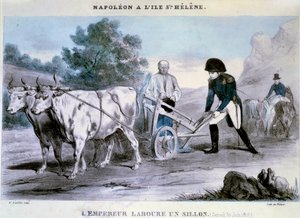 Napoleon I (1769-1821) pyhä Helena: keisari kyntää vaon (30.06.1816) Pahiksen litografia. 1816 Ile d