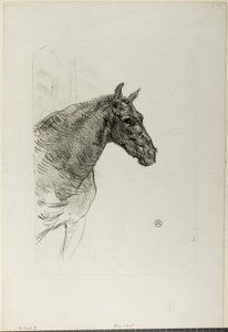 Philibert poni