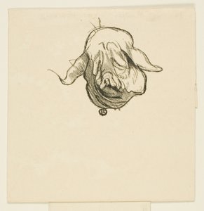 Takakappale At the Foot of Siinaista tekijältä Henri de Toulouse Lautrec