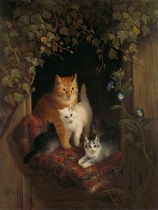 Kissa pentujen kanssa