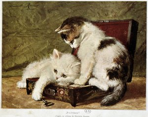 Folatrerie (pennut) - kirjoittanut Henriette Ronner