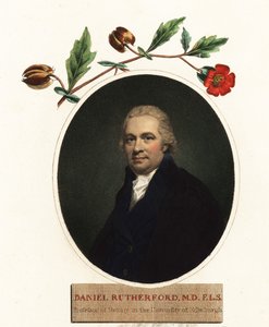 Kasvitieteilijä Daniel Rutherfordin muotokuva. 1805 (kaiverrus) tekijältä Henry (after) Raeburn