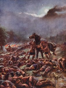 Sweynin myrkytetty armeija, kuvitus teoksesta 