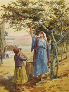 Viikunoiden kerääminen (väri litho) tekijältä Henry Andrew Harper
