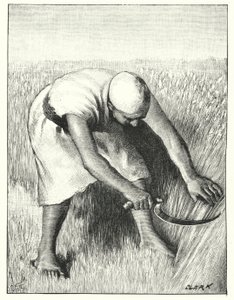 Korjuu idässä (litho) tekijältä Henry Andrew Harper
