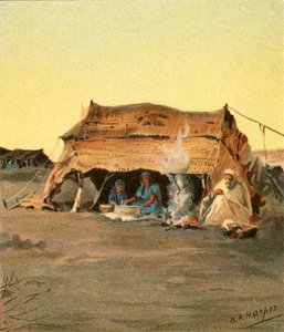 Teltan elämä tekijältä Henry Andrew Harper